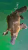 100x100 webp 60 quality