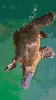 100x100 32 color avif 60 quality