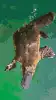 100x100 32 color webp 60 quality